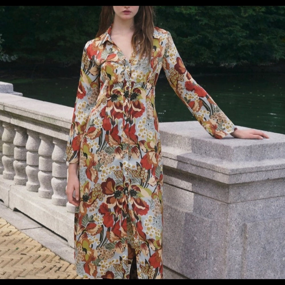 ZARA NWT SATIN EFFECT PRINT DRESS - Picture 8 of 11